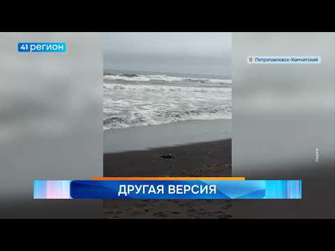 Новости Камчатки за 05 августа 2026 года