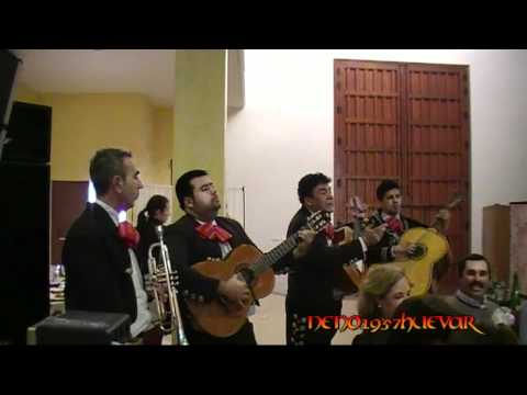 Video 5 de Mariachis Los Monchos