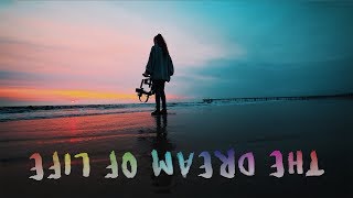 DREAM OF LIFE 💥 Youth- Troye Sivan ( Gryffin Remix )