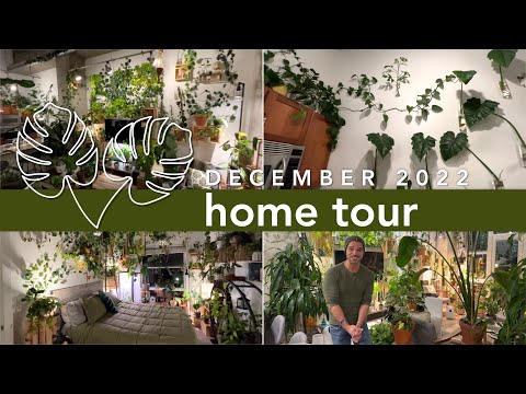 DOWNTOWN URBAN JUNGLE TOUR - My Collection of Tropical Plants and Latest DIY Plant Designs