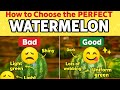 How To Pick Perfect Watermelon