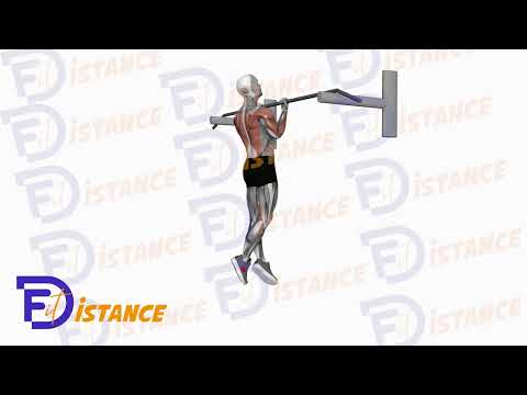 Exercice Traction en supination