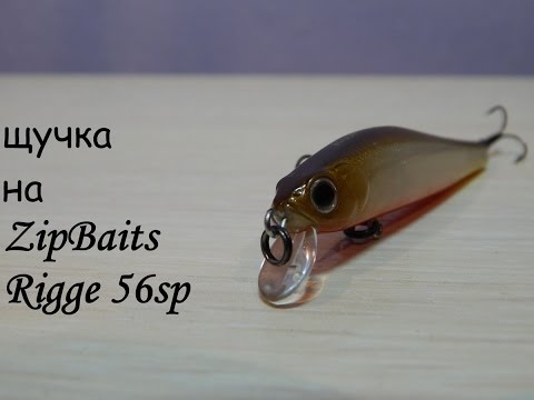 щучка на ZipBaits Rigge 56sp