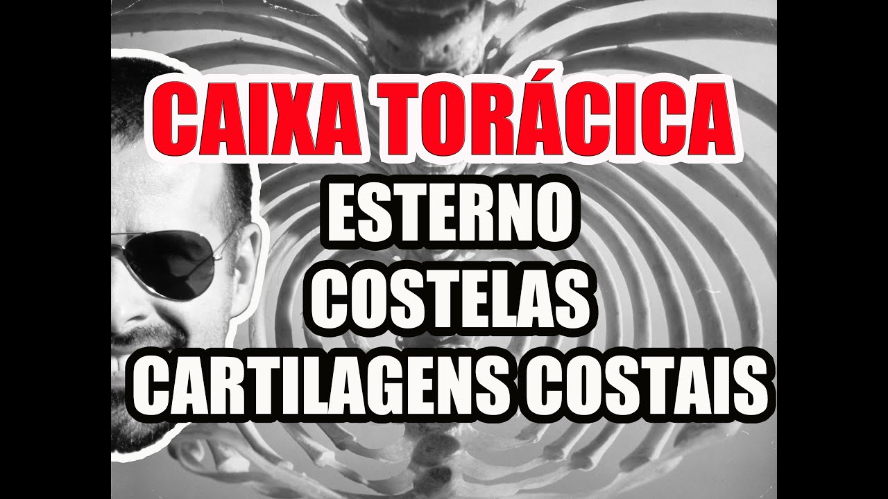 Vídeo Aula 106 - Anatomia Humana - Caixa Torácica: Esterno, Costelas e Cartilagens Costais