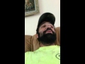 The Pelican Song