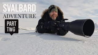 A Photographer's Dream // BIRD PHOTOGRAPHY in Svalbard - ptarmigan