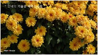 인내의 기술을 배우 십시오