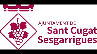 Ple extraordinari de reconeixement al Consell d'Infants - 14 de juny de 2022