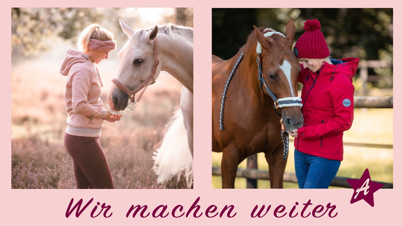 So geht es nach Cantos Tod weiter I Ponyhausen Update I neue Pferde, schöne Jobs und DANKE an Euch