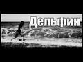 Елизавета Постол - Весна ( Дельфин cover ) 