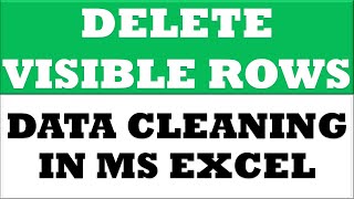 Delete only visible rows | Data cleaning in excel