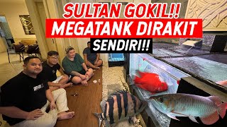 SULTAN BANGUN MEGATANK IKAN PREDATOR MURAH MERIAH TAPI MEWAH !!! FULL ISI IKAN PREDATOR MONSTER