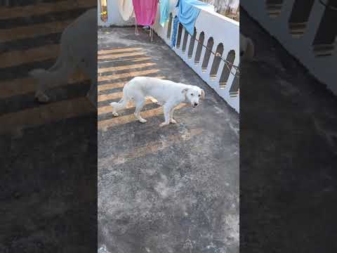 Anvesh sagar trip(2)