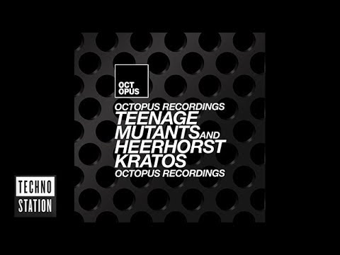 Teenage Mutants & Heerhorst - Architect