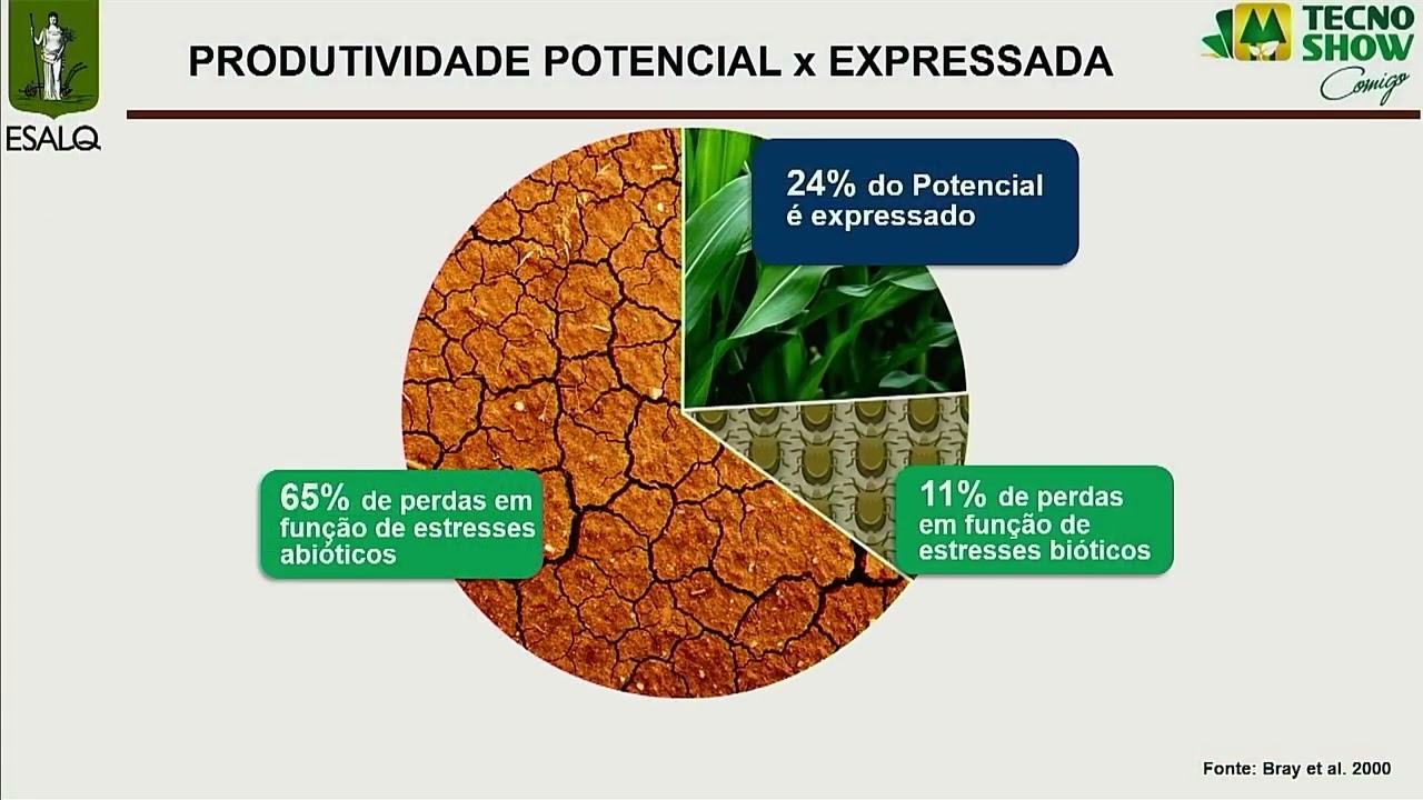 Uso Racional de Fertilizantes – Prof  Godofredo Vitti