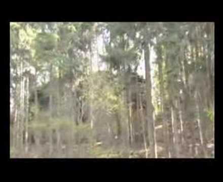 Ausflugstip Bodensteiner Klippen, Sofaklippe 22. April 2007