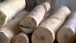 preview picture of video 'Reflorestamento com árvore nativa do Brasil (2)- Programa Globo Rural'