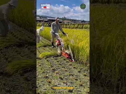 Amazing Mini Reaper Binder Machine