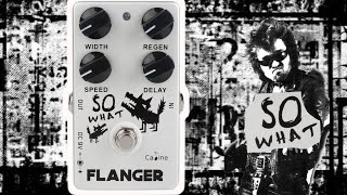 Video thumbnail for Caline So What Flanger Demo/Review by Chuck's Guitar Geekery