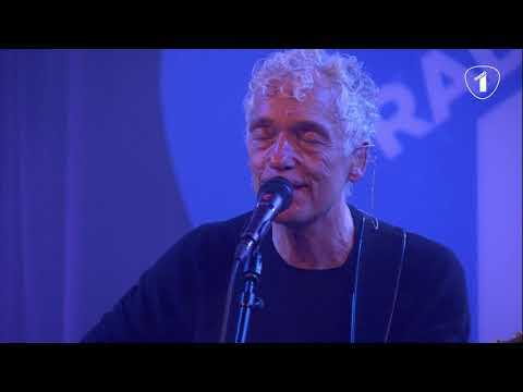 OP EEN OCHTEND IN HET HEELAL - SPINVIS Live @ Radio 1 Sessie