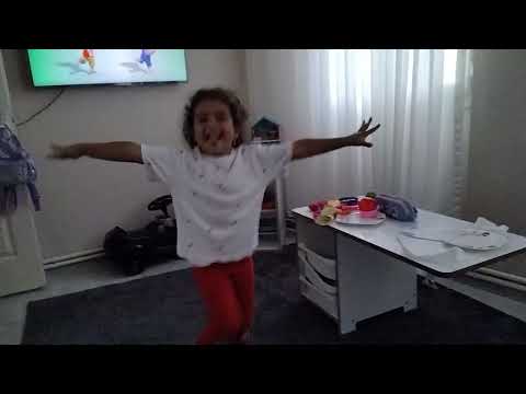 Erik  dalı  oynadım 