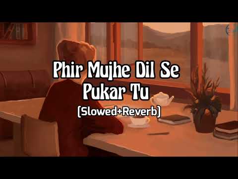 Phir Mujhe Dil Se Pukar Tu (Slowed+Reverb) | Mohit Gaur