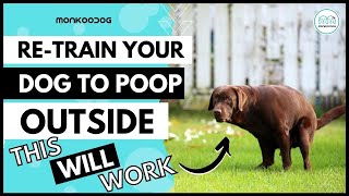 RE-Train Your Adult Dog 🐩 to Potty 💩 outside the house. II Dog Potty Training II Monkoodog