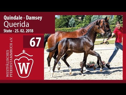 067 Querida  SF v.  Quindale -  Damsey