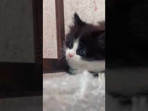 ۱۹ ژوئیهٔ ۲۰۲۵