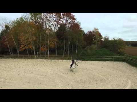 Pension chevaux à Crespières Yvelines 