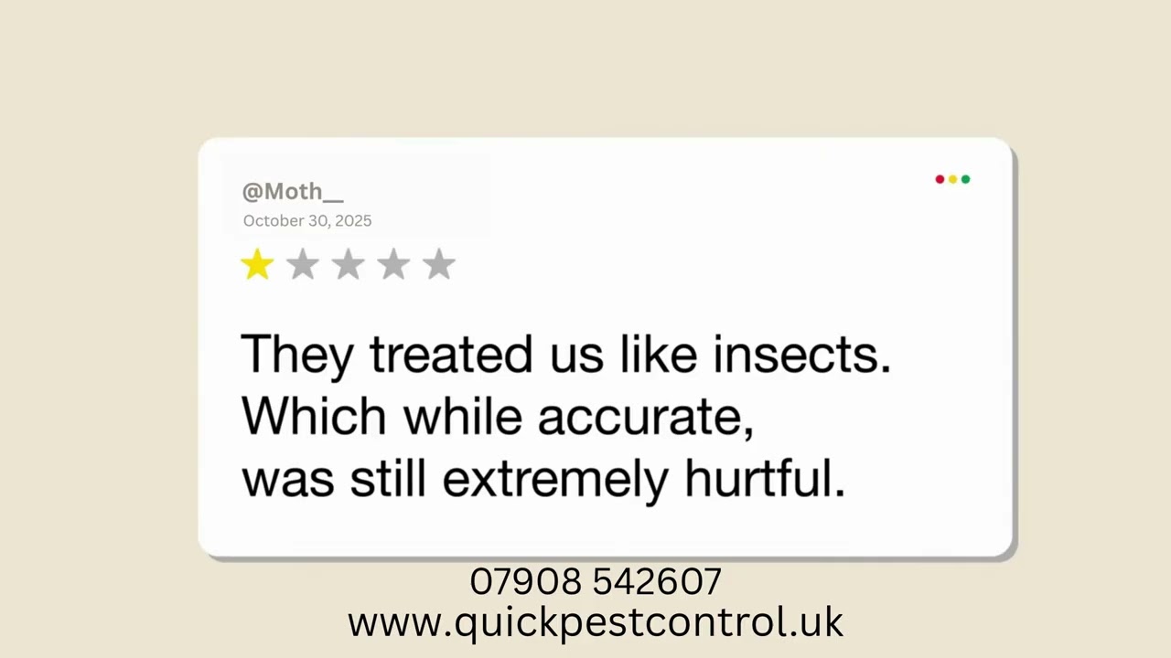 Pest's rate us the worth because we're the best | Quick Pest Control