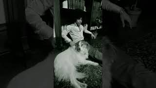 Prince | CRAZY YOU