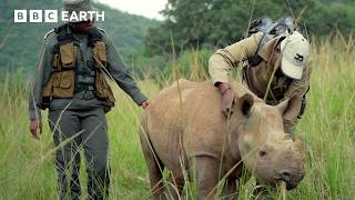 Meet The Guardians Of Nature | Guardians: Official Trailer | BBC Earth