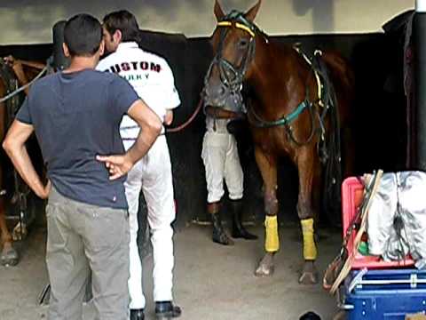 quoumba de guez avec JMB