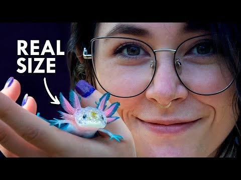 The Smallest Creatures To Ever Exist on Earth