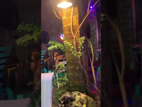 Los Arcos Viejos en San Antonio de los Baños un lugar para disfrutar y pasar una grata experiencia