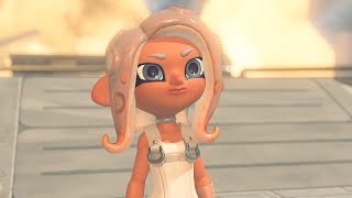 サイド・オーダー - ハチのパレット 【スプラトゥーン3】