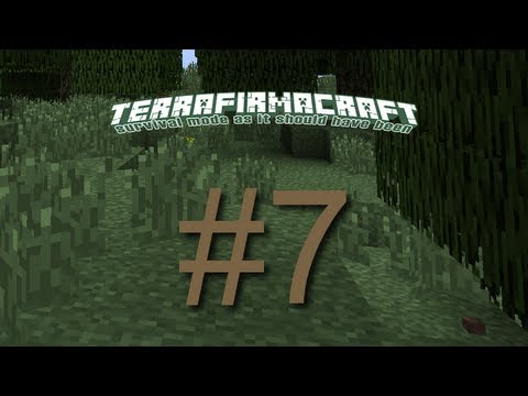 TerraFirmaCraft Ep 7 - Alloys and Armor
