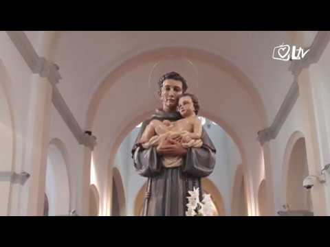 Izdvojeno - Kako žive Hrvati u Padovi?