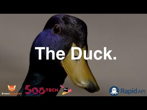 The Duck | React IL Meetup | 6.5.21