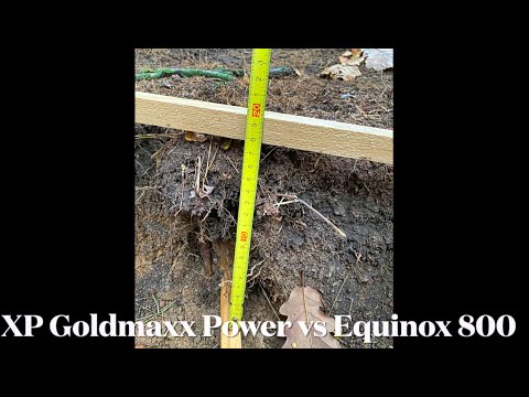 Goldmaxx Power vs Equinox 800