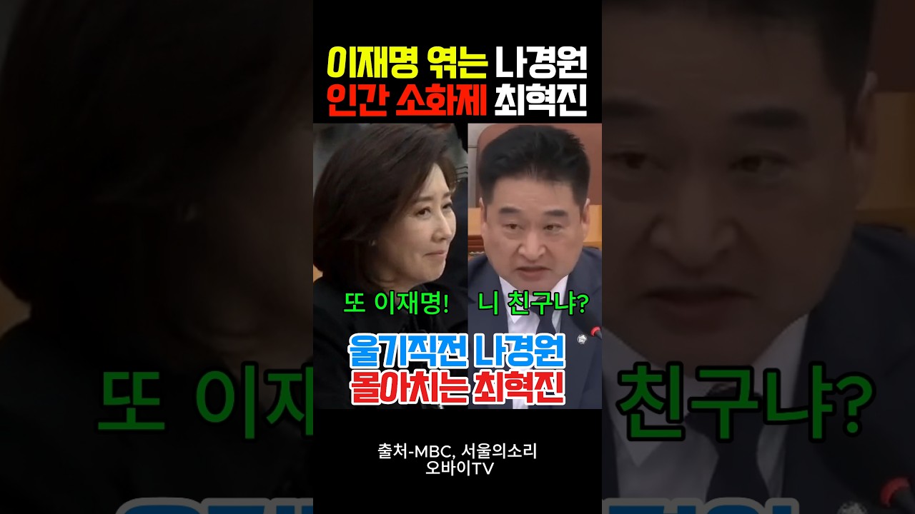 "이재명 엮는" 나경원 "인간 소화제" 최혁진