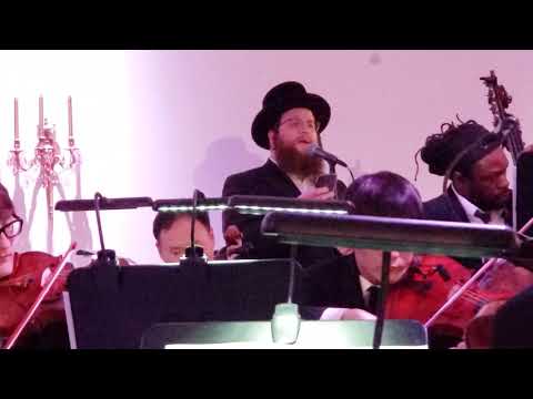Shloime Daskal | Melech Malchei Hamlachim | A-Team Orchestra @ chuppa