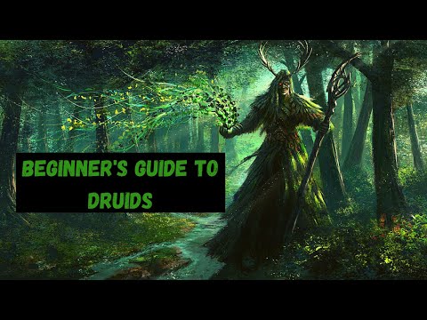 Beginner's Guide to Druids