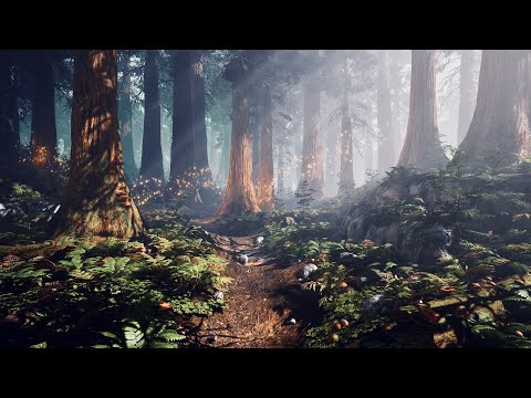 Enchanted Forest - Ambience Only (Day Version)