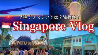 【旅行vlog】出発までにするべきこと✈️家族で楽しむシンガポール観光