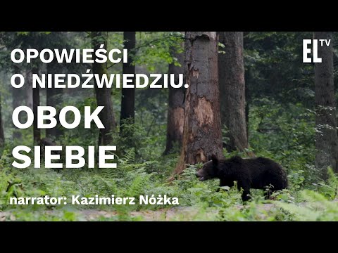 Opowieści o niedźwiedziu. Obok siebie. Narrator: Kazimierz Nóżka