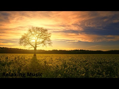 Relaxing Music, Sleep, Relax, Study, Read, Focus, Yoga, Spa, Mindfulness