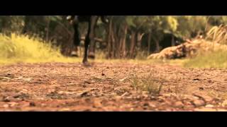 Download lagu Lupang Hinirang GMA 7 HD mp3