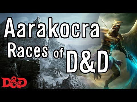 Forgotten Realms Lore - Aarakocra